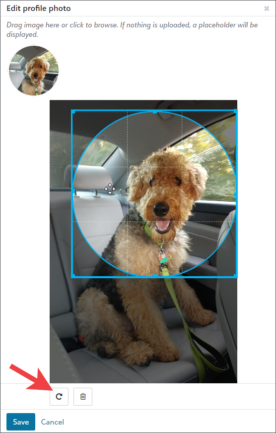 Image shows the crop and rotate options for a profile photo. The sample photo is a medium large, very shaggy, Airedale terrier dog, sitting the backseat of a car. The dog appears to be smiling towards the viewer. He is a very good boy.